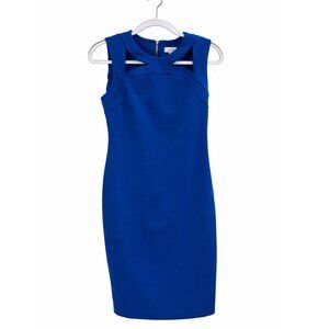 Calvin Klein Professional Royal Blue Dress